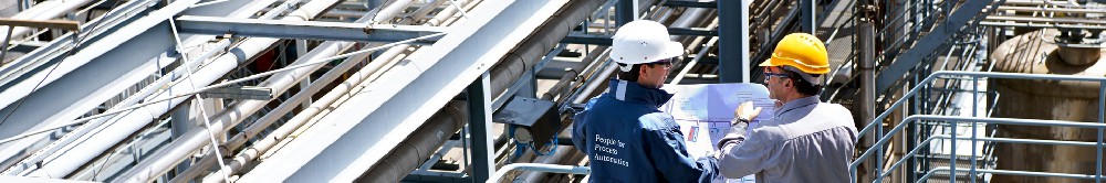 定制過程解決方案,優化提升工廠性能